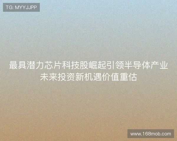 最具潜力芯片科技股崛起引领半导体产业未来投资新机遇价值重估