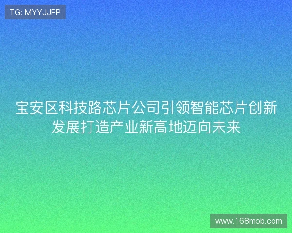 宝安区科技路芯片公司引领智能芯片创新发展打造产业新高地迈向未来
